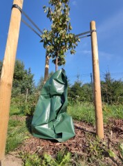 BALTIC AGRO Tree Watering Bag 75 l Premium 1pcs