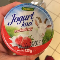 DANMIS Kitsepiima maasika jogurt 125g