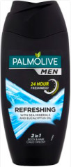 PALMOLIVE Dušigeel Pal. 2in1 Pure Arctic men 250ml 250ml