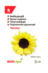 BALTIC AGRO Sunflower 'Valentine' 30 seeds 1pcs