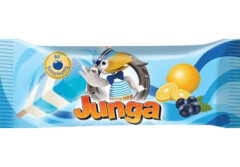 JUNGA Juice ice cream Lemon-blueberry 75ml