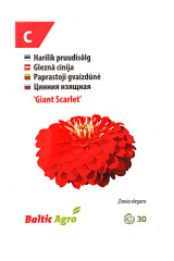 BALTIC AGRO Zinnia 'Giant Scarlet' 30 seeds 1pcs