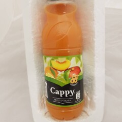 CAPPY Mitme puuvilja nektar vitamiinidega 330ml