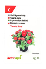 BALTIC AGRO Zinnia 'Zinnita Rose' 20 seeds 1pcs