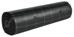 BALTIC AGRO Geotextile Ground Mulch Cover 2 x 100 m, 200 m² black 1pcs