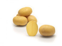 BALTIC AGRO Seed Potato 'Lilly' 2,5 kg 2,5kg