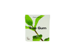 TRUE GUM True Gum Mint 21g