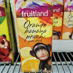 FRUITLAND Apelsini-banaani-virsikujook kontsentreeritud mahlast ja püreest 0,2l