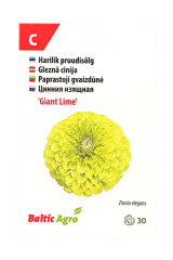 BALTIC AGRO Zinnia 'Giant Lime' 30 seeds 1pcs