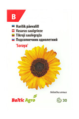 BALTIC AGRO Sunflower 'Soraya' 30 seeds 1pcs