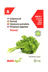 BALTIC AGRO Parsley Seeds 'Bravour' 2 g 1pcs