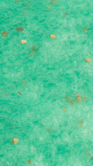 BALTIC AGRO Цветочный ковер «Рай для насекомых» 0,4 x 12,5 м 1pcs