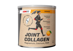 ICONFIT Kollageen MSM+C vitamiin apels. 300g