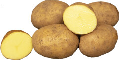 BALTIC AGRO Seed Potato 'Octa' 2,5 kg 2,5kg