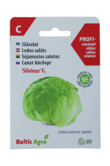 BALTIC AGRO Salāti 'Silvinas' 20 sēklas C 1pcs
