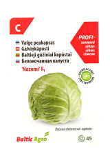 BALTIC AGRO Early Cabbage Seeds 'Nozomi' F1 45 seeds 1pcs