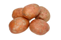 BALTIC AGRO Seed Potato 'Laura' 2,5 kg 2,5kg