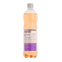 VITAMINERAL Pohla ja rohelise tee maitseline vitamiinidega jook Mental 750ml