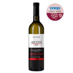 ASCONI Moldova vein SAUV.BLANC 0,75l