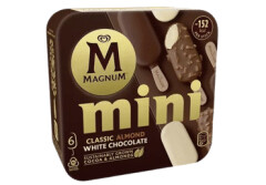 MAGNUM Ledai Mix Mini didelė pakuotė 254g