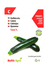 BALTIC AGRO Zuccini Seeds 'Cora' F1 5 seeds C 1pcs
