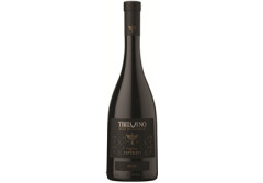 TBILVINO Vynas saperavi Tbilvino raudonasis sausas 750ml