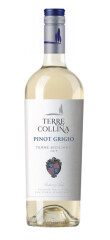 TERRE COLLINA Baltasis vynas terre collina pinot grigio, 12 %,0,75i 75cl