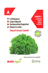 BALTIC AGRO Lapu kāposts `Dwarf Green Curled` 0,5 g A 1pcs