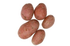 BALTIC AGRO Seed Potato 'Red Lady' 5 kg 5kg