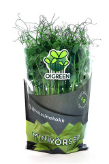 O!GREEN Hernevõrsed potis 1pcs