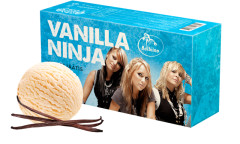 VANILLA NINJA VANILLA NINJA Cream ice cream 1L/480g 0,48kg