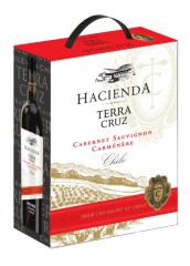 TERRA CRUZ Cabernet Sauvignon Carmenere BIB 300cl