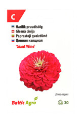 BALTIC AGRO Zinnia 'Giant Wine' 30 seeds 1pcs