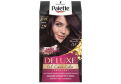 PALETTE Püsivärv Palette Deluxe 880 baklažaan 1pcs