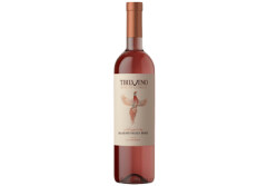 ALAZANI Sārtvīns Alazani Rose 750ml