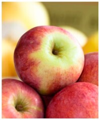 NO BRAND Apple packed in the market 1kg