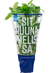 KOTIMAISTA Lemon balm in a pot 1pcs