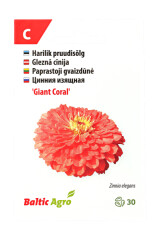 BALTIC AGRO Zinnia 'Giant Coral' 30 seemet 1pcs