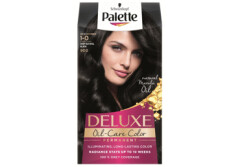 PALETTE Plaukū dažai PALETTE DELUXE, Nr. 1-0 1pcs