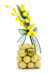 MUCCI® Fior di Mimosa® limoncelloga 75g