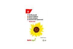 BALTIC AGRO Sunflower 'Pacino Cola' 30 seeds 1pcs