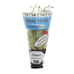 HANSA HERBS Tüümian potis 1pcs