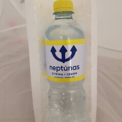 NEPTUNAS Gazuotas natūralus mineralinis vanduo NEPTŪNAS UNIQUE LEMON, PET, 500 ml 500ml