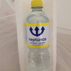 NEPTUNAS Švelniai gazuotas stalo vanduo NEPTŪNAS 500ml