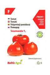 BALTIC AGRO Tomato 'Gourmandia' F1 5 seeds 1pcs