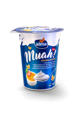 ALMA Saldā kr. jogurts Alma krēms brulē 380g