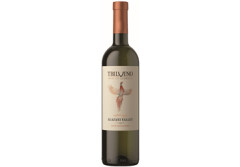 TBILVINO Baltasis pus. saldus vynas Alazani Valley Tbilvino (11,5%) 750ml