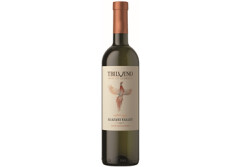 TBILVINO GT POOLMAGUS VEIN VALLEY VAL. 750ml