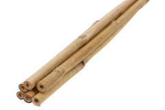 BALTIC AGRO Бамбуковые опоры d 6-8 мм, h 60 см, 6 шт 1pcs