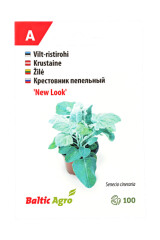 BALTIC AGRO Крестовник пепельный 'New Look' 100 гранулированные семян 1pcs